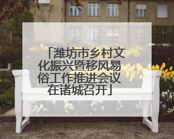 潍坊市乡村文化振兴暨移风易俗工作推进会议在诸城召开
