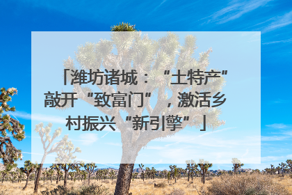 潍坊诸城：“土特产”敲开“致富门”，激活乡村振兴“新引擎”