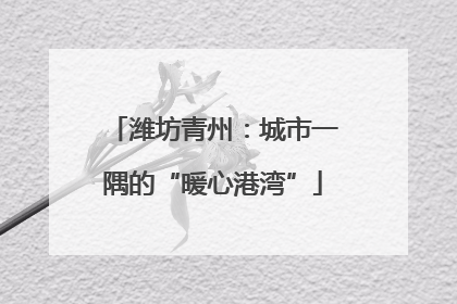 潍坊青州：城市一隅的“暖心港湾”