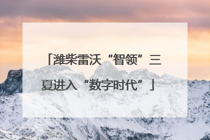 潍柴雷沃“智领”三夏进入“数字时代”