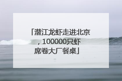 潜江龙虾走进北京，100000只虾席卷大厂餐桌