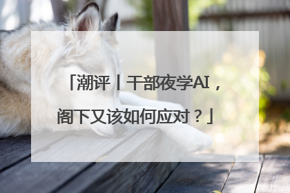 潮评丨干部夜学AI，阁下又该如何应对？