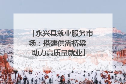 永兴县就业服务市场：搭建供需桥梁 助力高质量就业