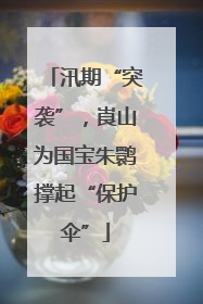 汛期“突袭”，崀山为国宝朱鹮撑起“保护伞”