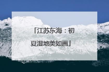 江苏东海：初夏湿地美如画