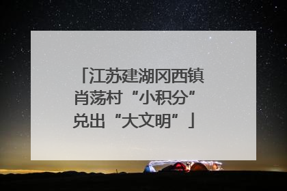 江苏建湖冈西镇肖荡村“小积分”兑出“大文明”