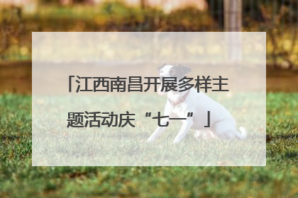 江西南昌开展多样主题活动庆“七一”