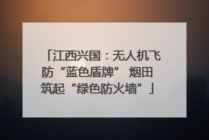 江西兴国：无人机飞防“蓝色盾牌” 烟田筑起“绿色防火墙”