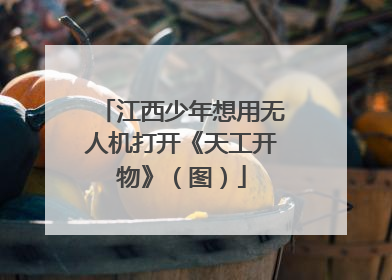 江西少年想用无人机打开《天工开物》（图）