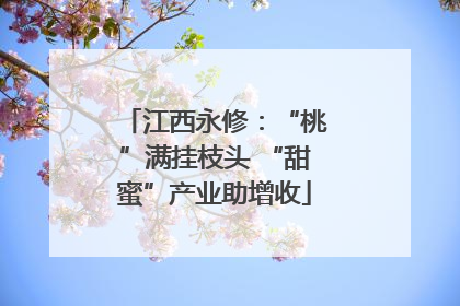 江西永修：“桃”满挂枝头 “甜蜜”产业助增收