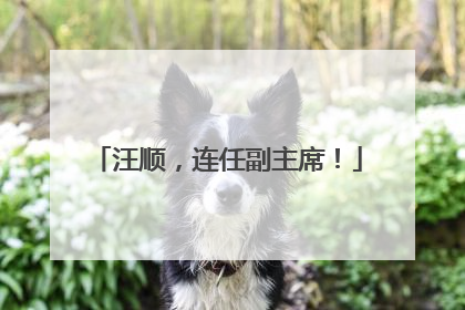 汪顺，连任副主席！