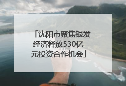 沈阳市聚焦银发经济释放530亿元投资合作机会