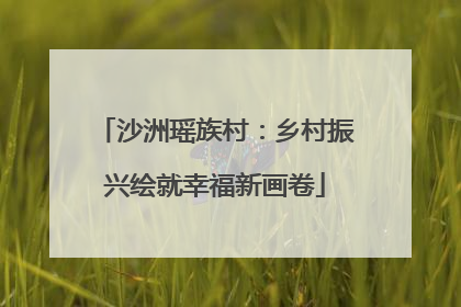 沙洲瑶族村：乡村振兴绘就幸福新画卷