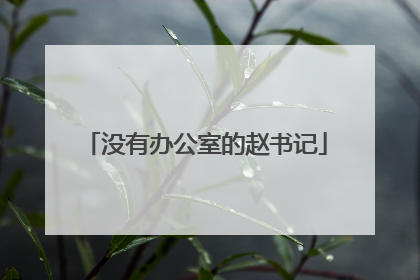 没有办公室的赵书记
