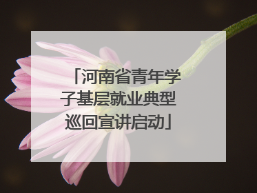 河南省青年学子基层就业典型巡回宣讲启动