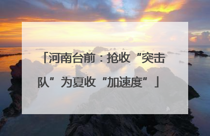 河南台前：抢收“突击队”为夏收“加速度”
