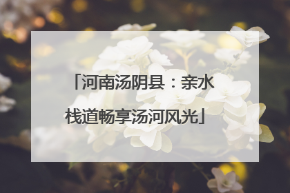 河南汤阴县：亲水栈道畅享汤河风光