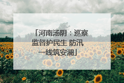 河南汤阴：巡察监督护民生 防汛一线筑安澜