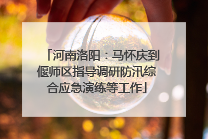 河南洛阳：马怀庆到偃师区指导调研防汛综合应急演练等工作