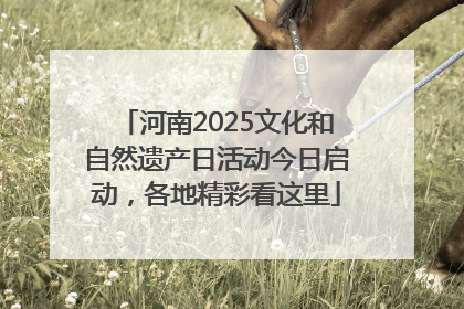 河南2025文化和自然遗产日活动今日启动，各地精彩看这里