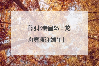 河北秦皇岛：龙舟竞渡迎端午