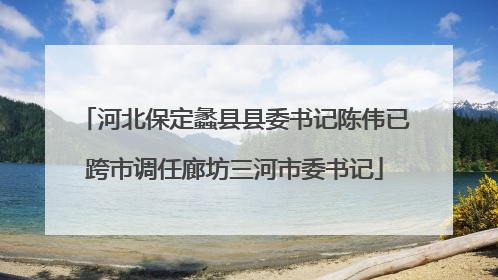 河北保定蠡县县委书记陈伟已跨市调任廊坊三河市委书记
