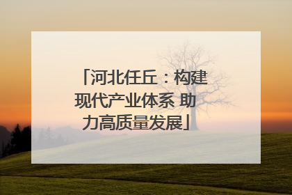 河北任丘：构建现代产业体系 助力高质量发展