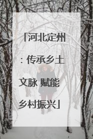 河北定州：传承乡土文脉 赋能乡村振兴