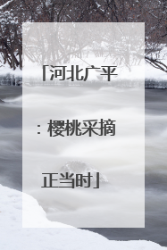 河北广平：樱桃采摘正当时