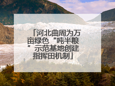 河北曲周为万亩绿色“吨半粮”示范基地创建指挥田机制