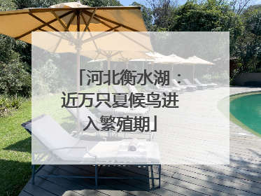 河北衡水湖：近万只夏候鸟进入繁殖期