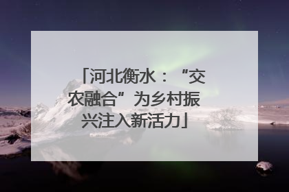 河北衡水：“交农融合”为乡村振兴注入新活力