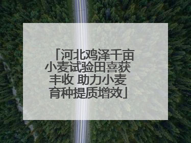 河北鸡泽千亩小麦试验田喜获丰收 助力小麦育种提质增效