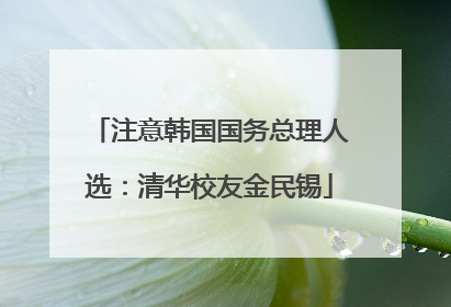 注意韩国国务总理人选：清华校友金民锡