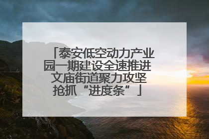泰安低空动力产业园一期建设全速推进 文庙街道聚力攻坚抢抓“进度条”