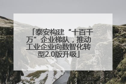 泰安构建“十百千万”企业梯队，推动工业企业向数智化转型2.0版升级