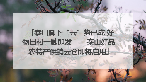 泰山脚下“云”势已成 好物出村一触即发——泰山好品农特产供销云仓即将启用