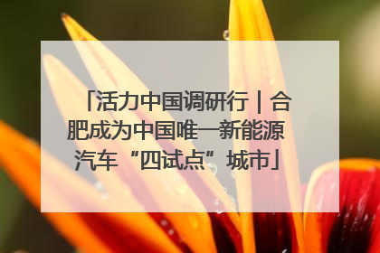 活力中国调研行｜合肥成为中国唯一新能源汽车“四试点”城市