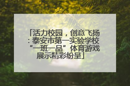 活力校园，创意飞扬：泰安市第一实验学校“一班一品”体育游戏展示精彩纷呈