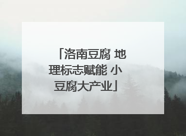 洛南豆腐 地理标志赋能 小豆腐大产业