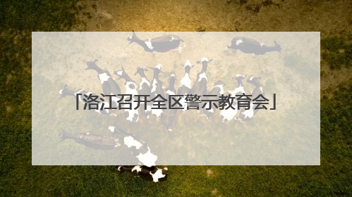 洛江召开全区警示教育会