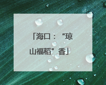 海口：“琼山福稻”香