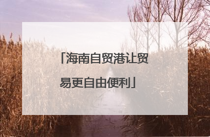 海南自贸港让贸易更自由便利