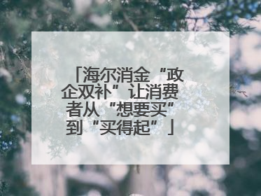 海尔消金“政企双补”让消费者从“想要买”到“买得起”