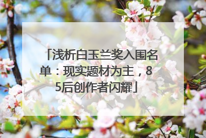 浅析白玉兰奖入围名单：现实题材为主，85后创作者闪耀