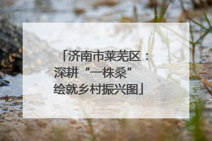 济南市莱芜区：深耕“一株桑” 绘就乡村振兴图