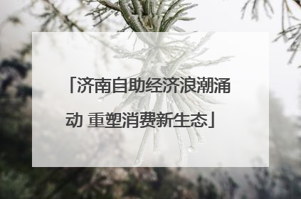 济南自助经济浪潮涌动 重塑消费新生态