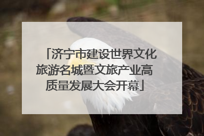 济宁市建设世界文化旅游名城暨文旅产业高质量发展大会开幕