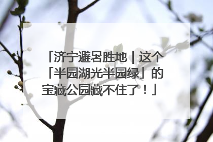 济宁避暑胜地｜这个「半园湖光半园绿」的宝藏公园藏不住了！