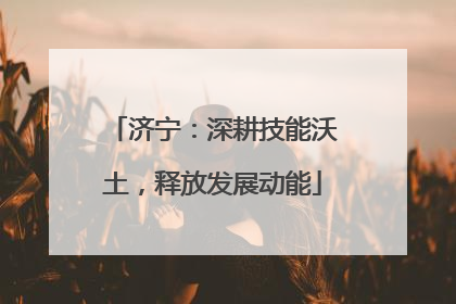 济宁：深耕技能沃土，释放发展动能
